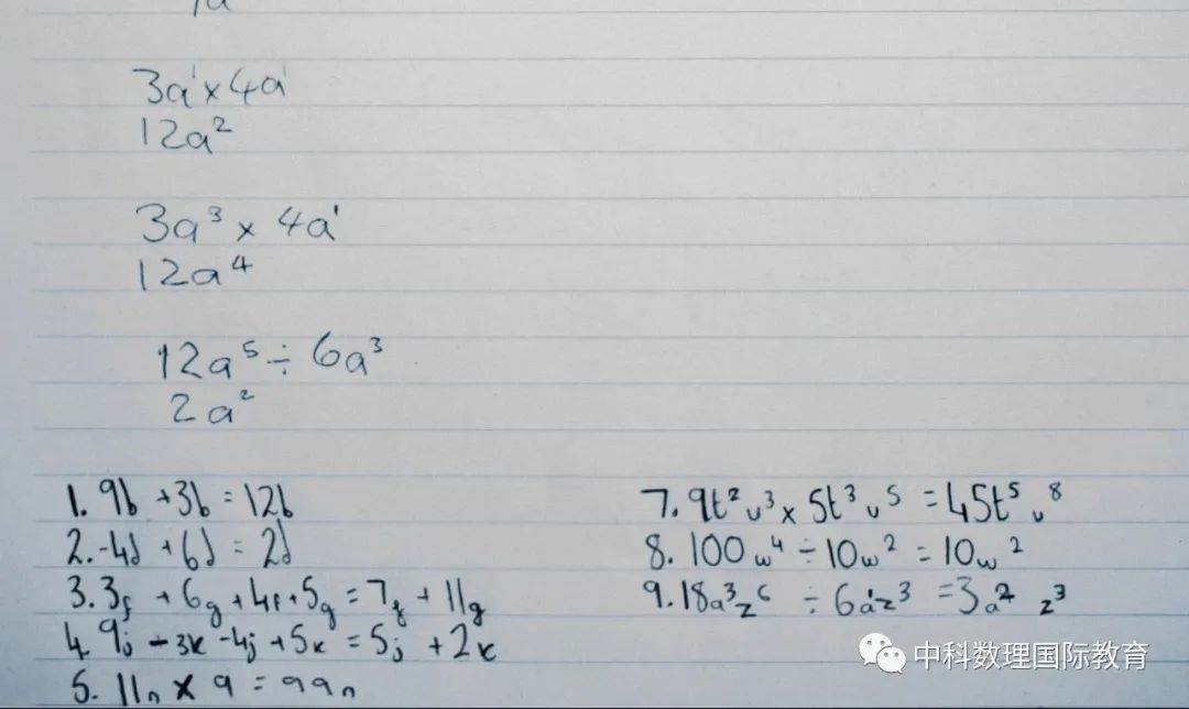 ​低年级（G1-G6）数学如何规划？