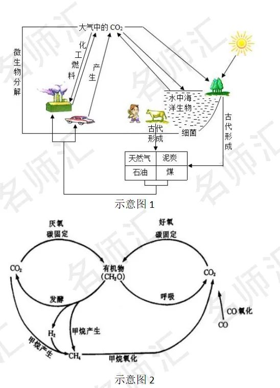 全网首发！2022年首场ACT考试科推考情回顾