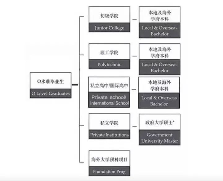 为什么说新加坡教育模式 最适合当下中国孩子发展？