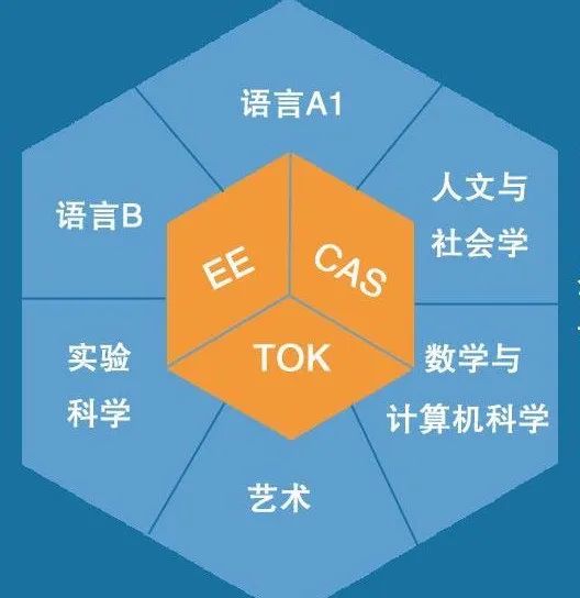 AP、A-Level、IB三大国际课程有何区别？一文看懂！