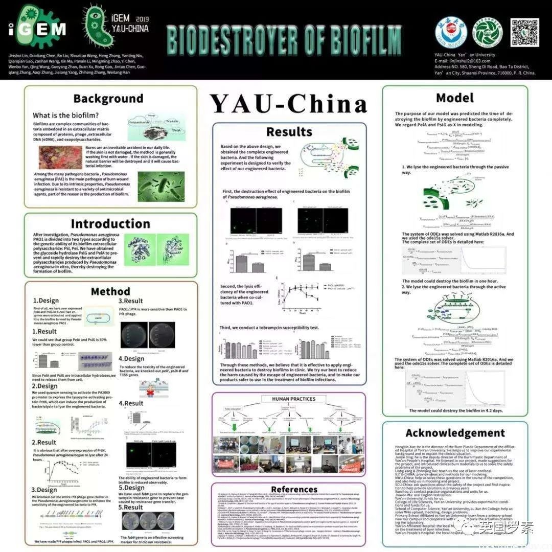 顶级大学生化医学专业申请利器，英国生物竞赛全解析——BBO, Brain Bee, iGEM竞赛题目解析及辅导！