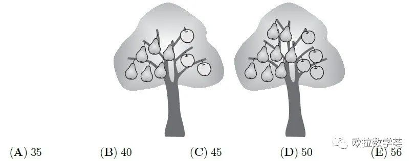 袋鼠数学竞赛题选（八）