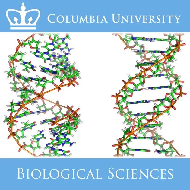 院校解读 | 哥伦比亚大学 Columbia University