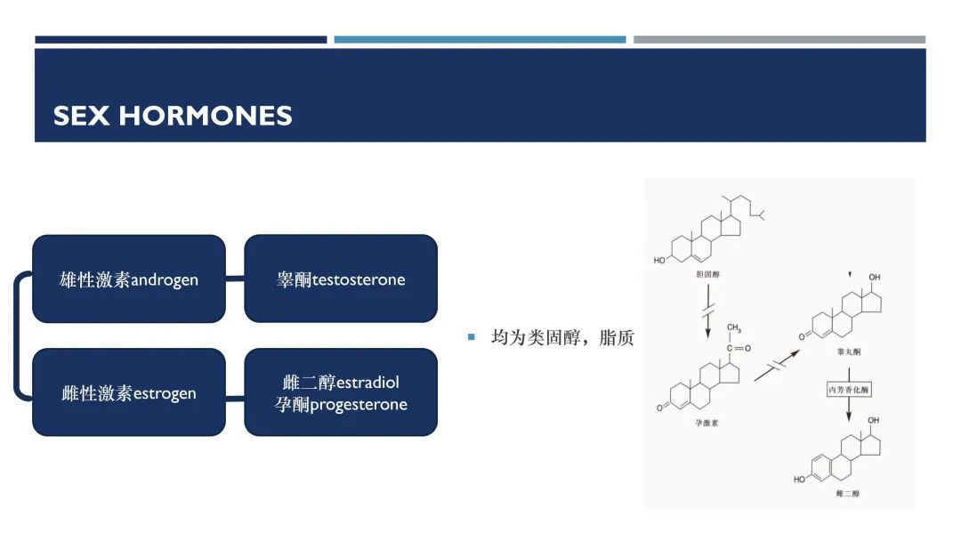 北京市十一学校：基于社团管理的脑科学教育