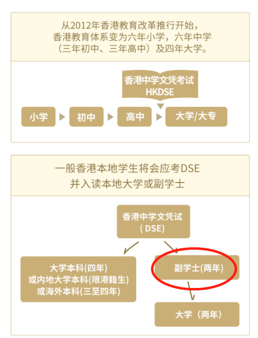 揭秘香港DSE考生5条不为人知的出路！拒绝教育信息差～