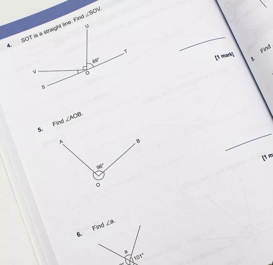 风靡全球的新加坡数学教材 SAP Learning Mathematics 全套电子版分享