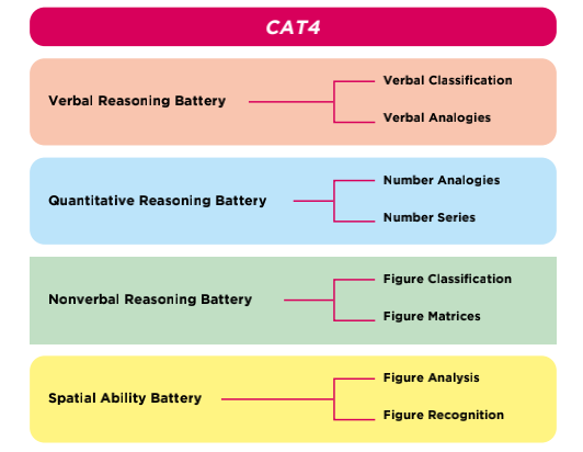 【独家】英式国际学校入学：CAT4测试四大考核板块题型解读