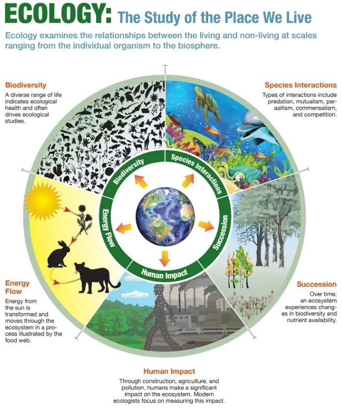 专业解读｜生物科学类包含哪些分支？职业方向有哪些？