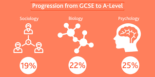 GCSE和ALEVEL 成绩对