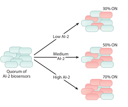 文献分享——Quorum Sensing Communication