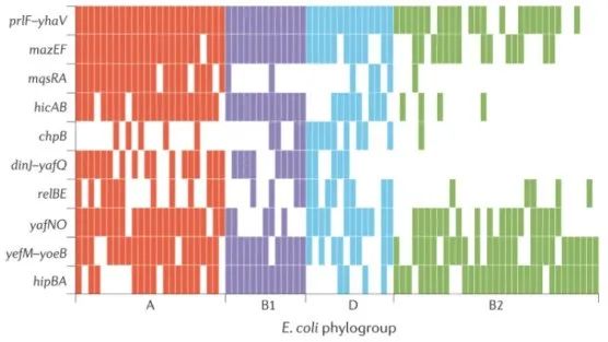 文献分享——Biology and evolution of bacterial toxin-antitoxin systems