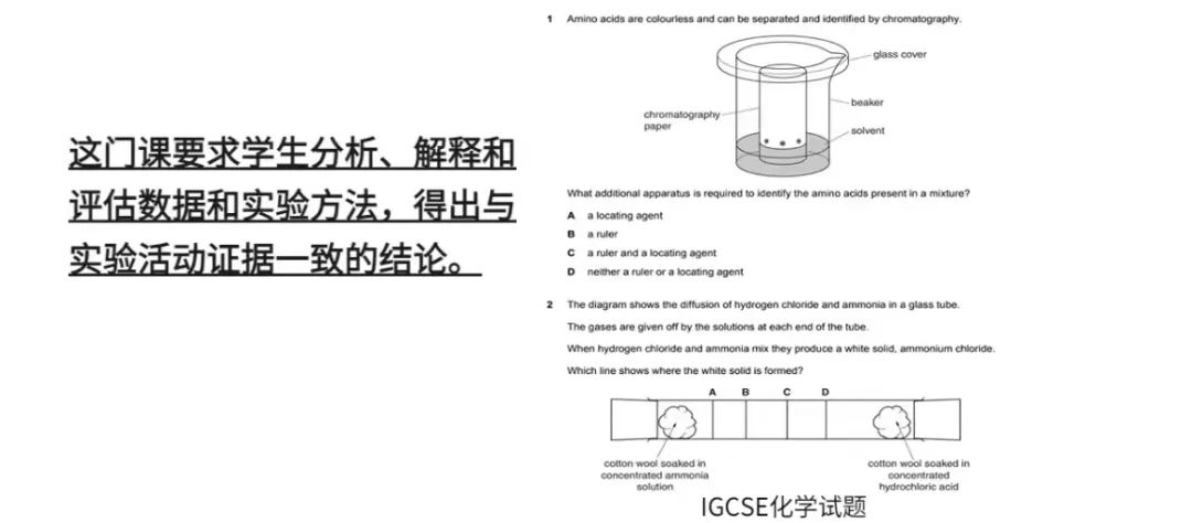 IGCSE课程哪几个科目必须要选？机构IGCSE课程辅导带你暑假弯道超车~