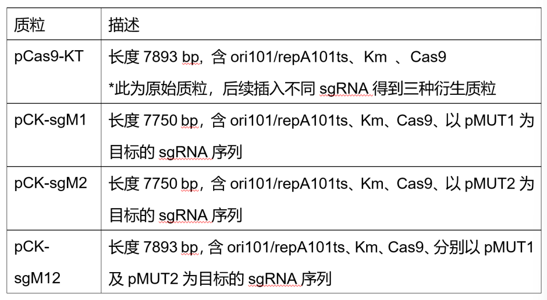 文献分享 | CRISPR/Cas9:一种消除野生大肠杆菌Nissle 1917中两个隐性质粒的方法