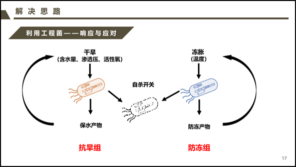 iGEMers实践 | 与中南大学CSU-China团队展开线上交流会