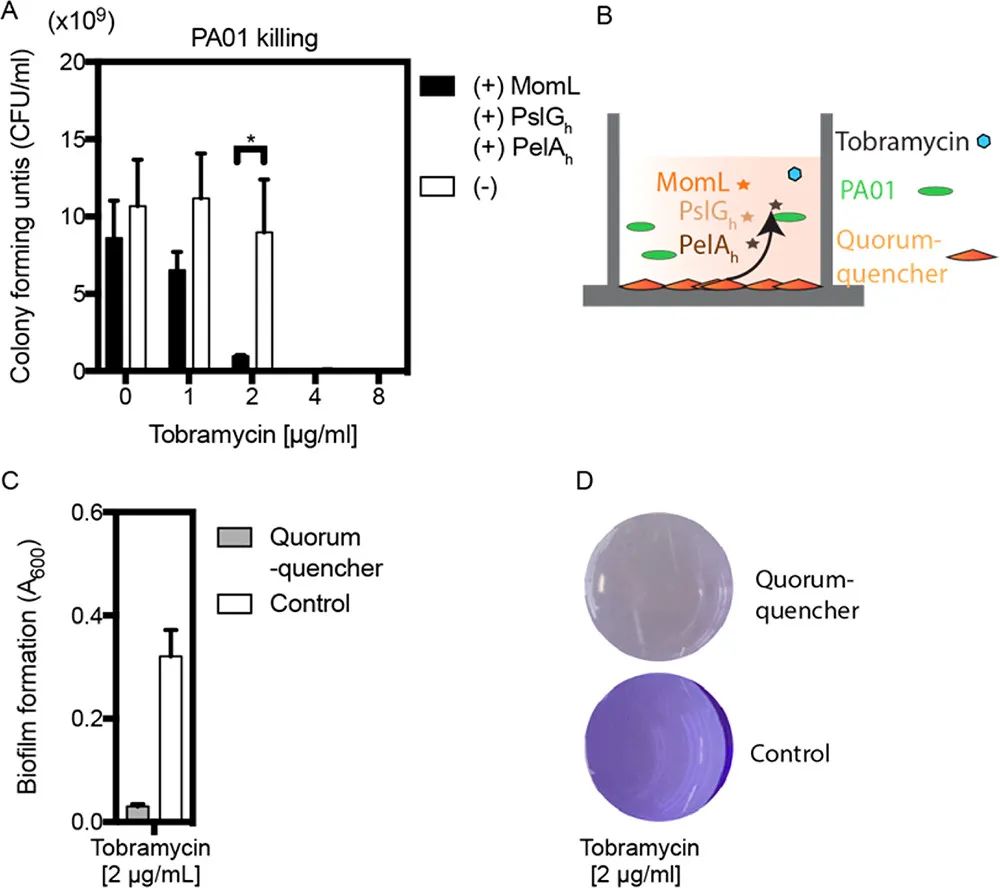 文献分享—— Quorum-Quenching Human Designer Cells for Closed-Loop