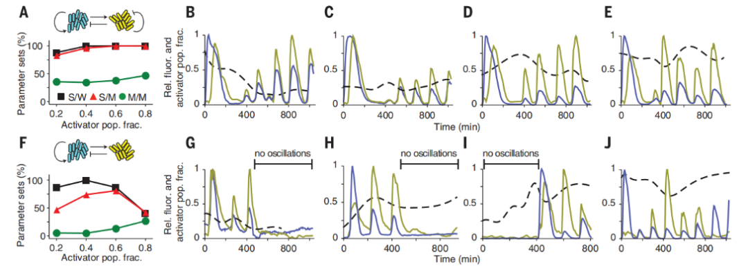 文献分享——Emergent genetic oscillations in a synthetic microbial