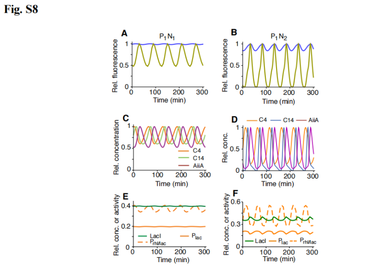 文献分享——Emergent genetic oscillations in a synthetic microbial