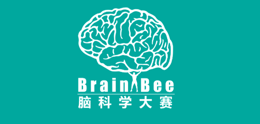 2023 下半年竞赛合集！7-12 月值得参加的竞赛都在这里啦，收藏不迷路~