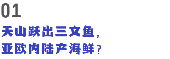 核污染海鲜吃不了？新疆：我们这也产“三文鱼”！