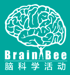 从入门到进阶，一次性安排你9-12年级的竞赛冲金之路！