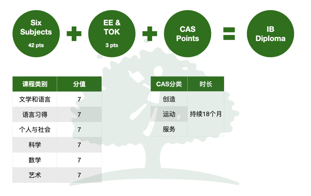 震惊！英国计划推行全新IB课程！？