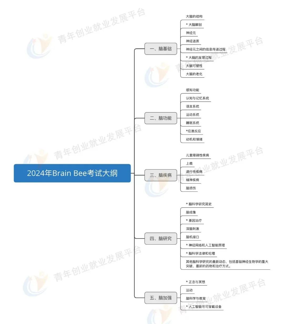 背景活动| 最终获奖率仅12%？2024年Brain Bee报名开始，新增个人报名通道