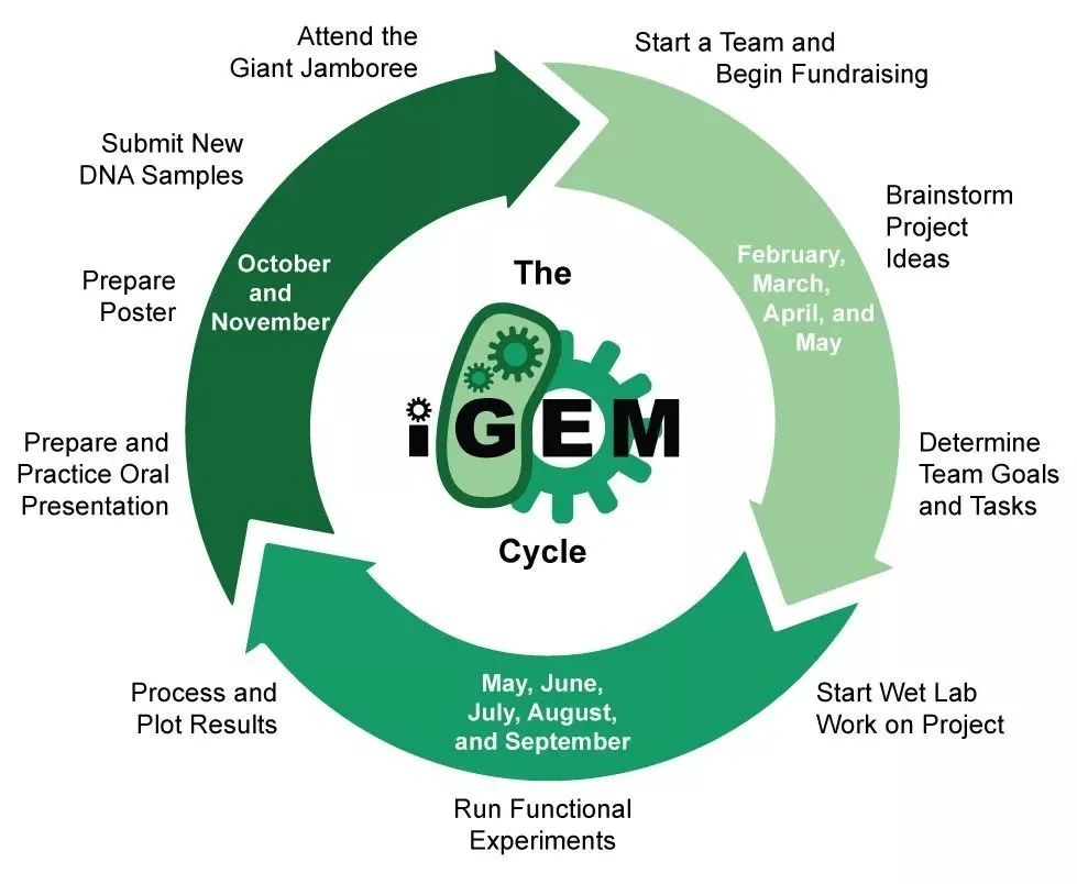 祝贺学生队伍再获金奖！iGEM国际遗传基因工程机器大赛，2024新赛季早鸟报名开启！