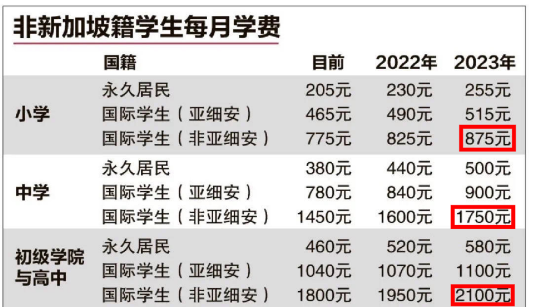 想去新加坡读中小学甚至幼儿园？