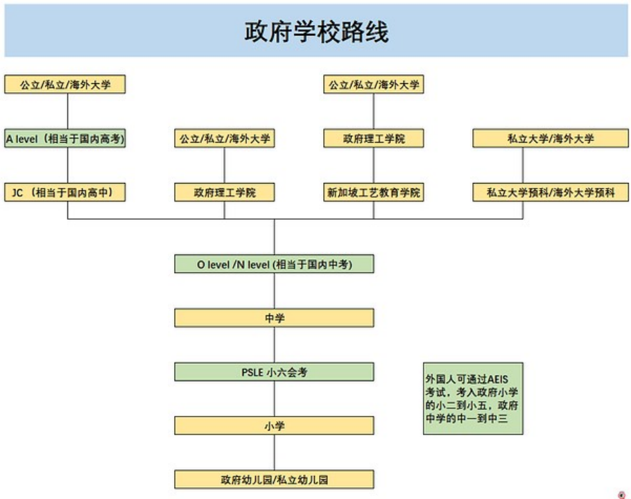 想去新加坡读中小学甚至幼儿园？