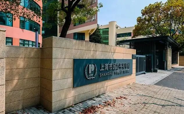 2024年上海国际学校春招考情分析！光剑难度增大、录取率不到10%？