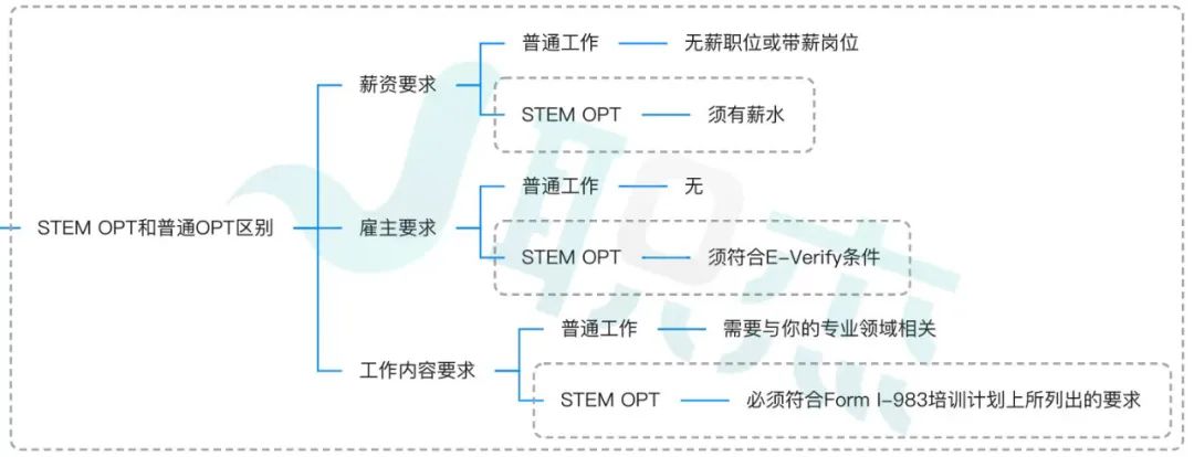 OPT防踩雷｜留学生在美求职必备攻略，一文看懂OPT