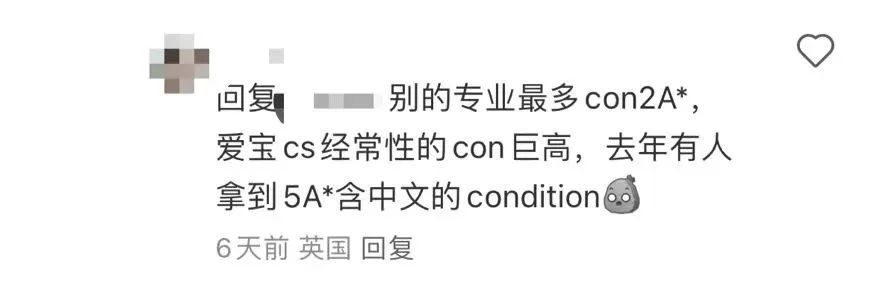 2024王爱曼华CON条件更新！部分专业要求高达3A*！