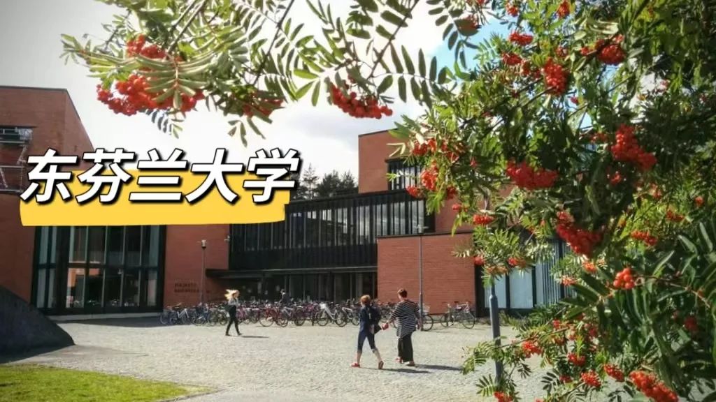 芬兰综合性大学本科英语授课专业介绍1/2