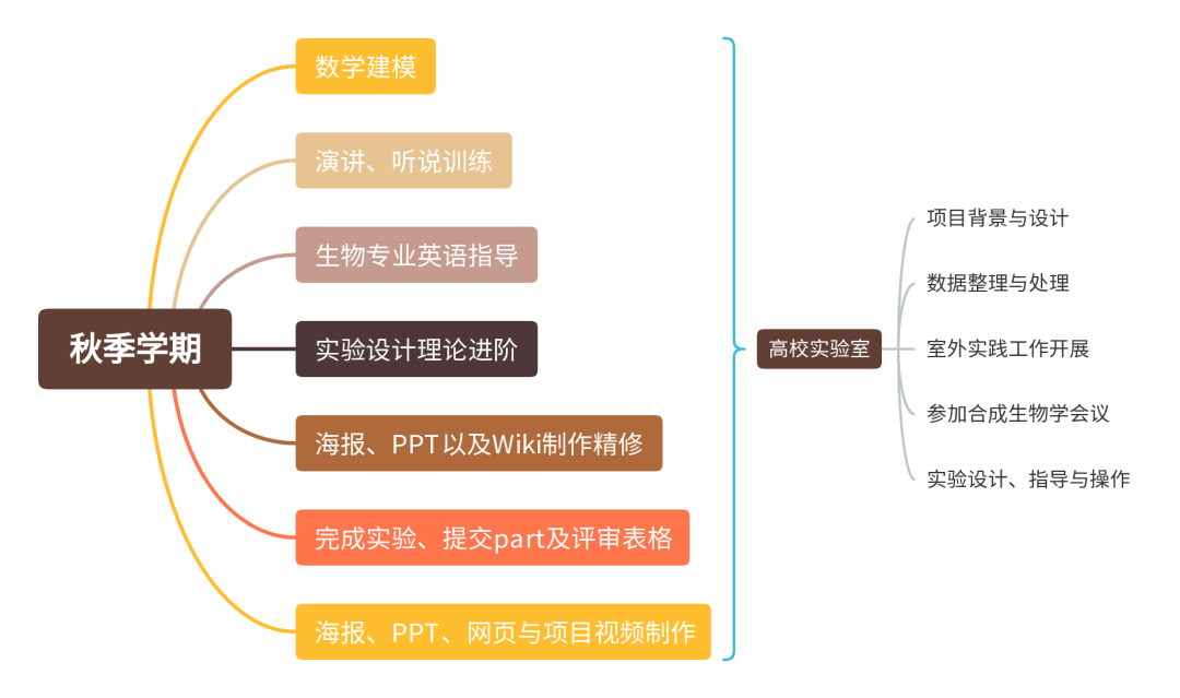 连续四年金奖！iGEM2024等你来挑战！