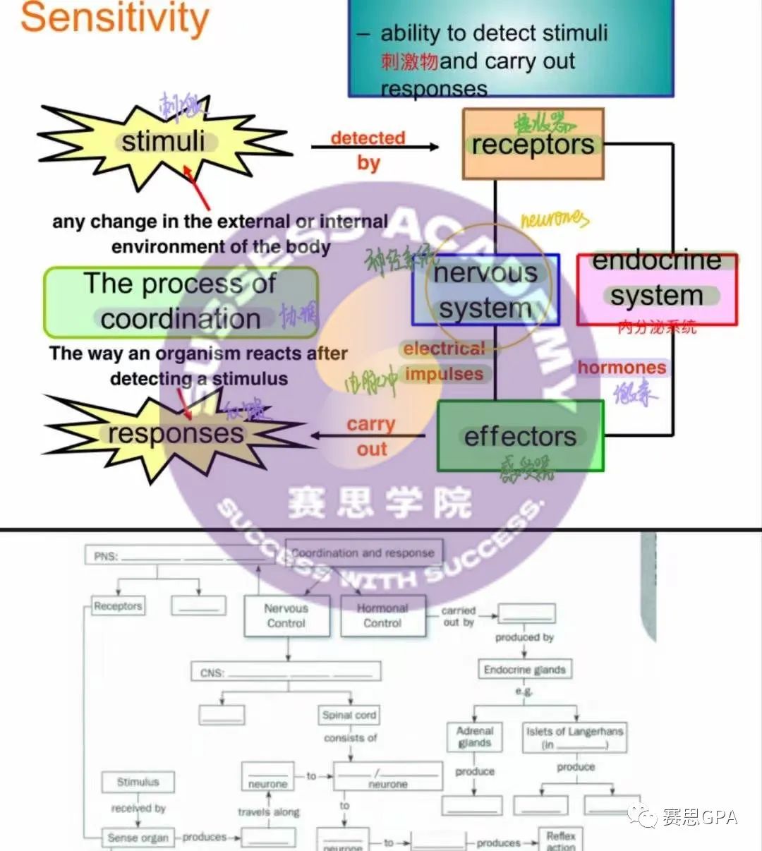 如何攻克IG生物？这份学习秘籍赶紧收下！