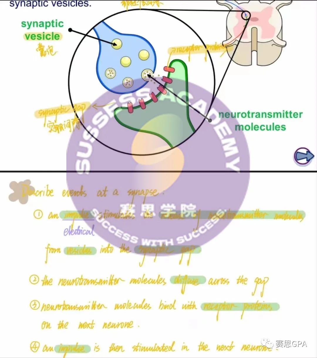 如何攻克IG生物？这份学习秘籍赶紧收下！