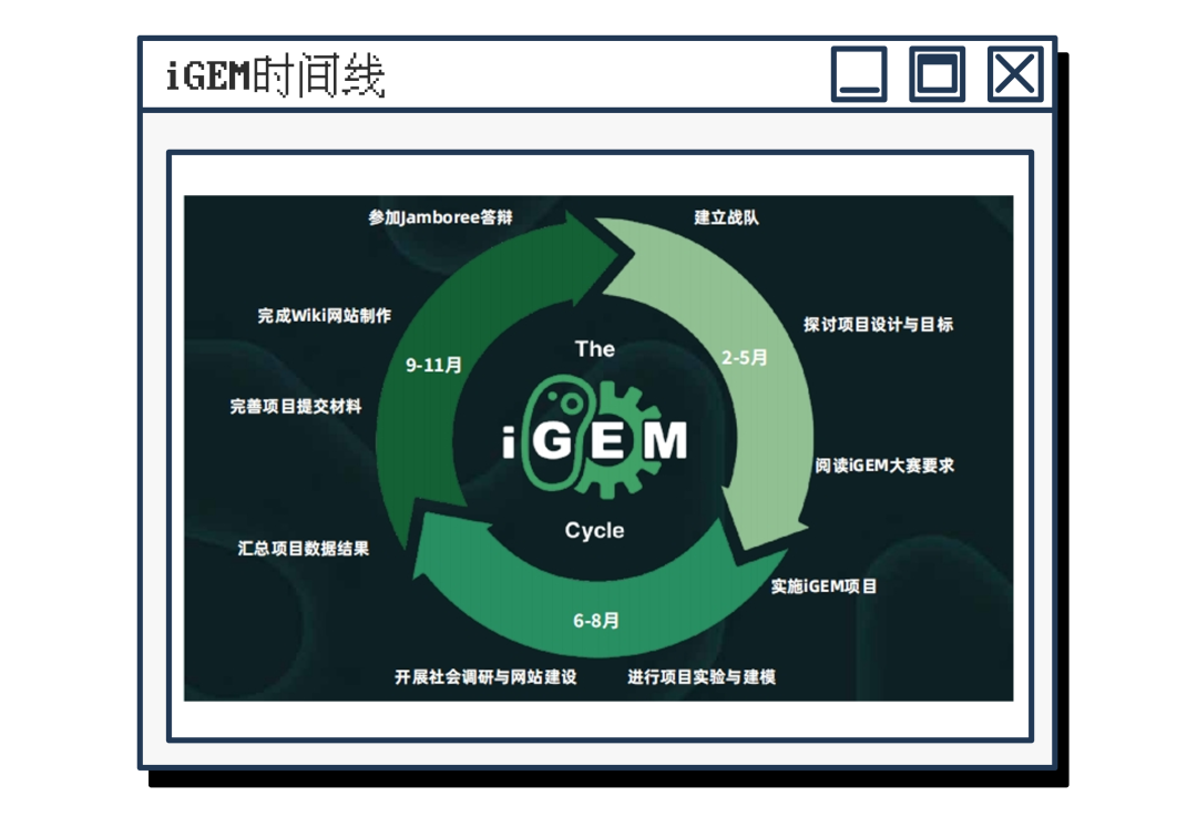 高中生顶级大赛组队中！不限学科方向！iGEM金牌导师等你来