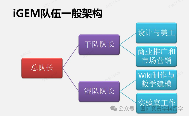 一文看懂iGEM竞赛，iGEM竞赛简介/竞赛规则/项目优势/常见问答……