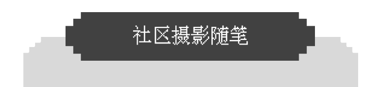 0门槛好拿奖！纽约时报写作竞赛2024赛程表