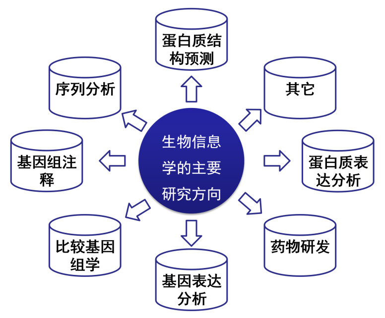 生物篇 | 生物信息学：赋能基因编辑新技术的关键