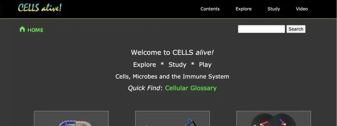 A-Level生物和国内普高生物有啥区别？课后还有什么网站可以帮助AL生物的学习？