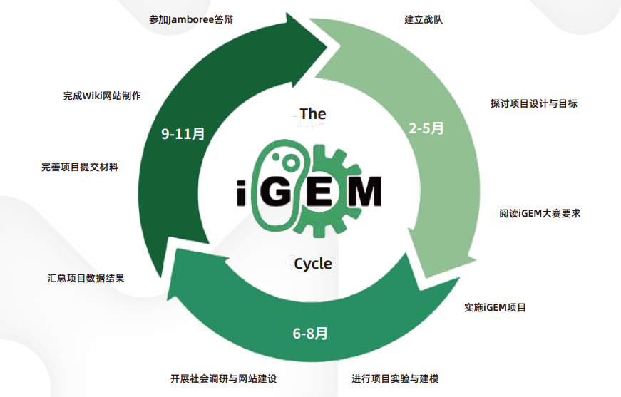 深度探讨！在iGEM竞赛中如何找准自己的定位，你真的知道吗？