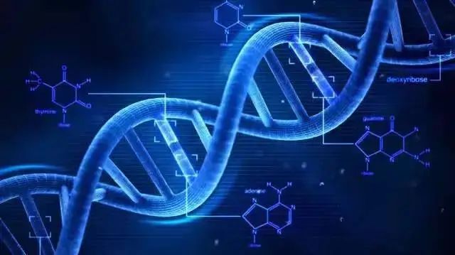 新加坡留学 | 新加坡国立大学生物医学信息学理学硕士