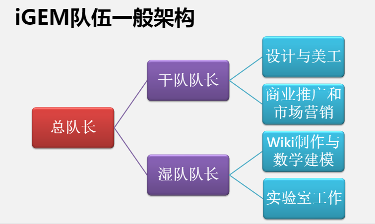 iGEM大赛是什么？2024年iGEM大赛赛程介绍，附iGEM金犀班安排