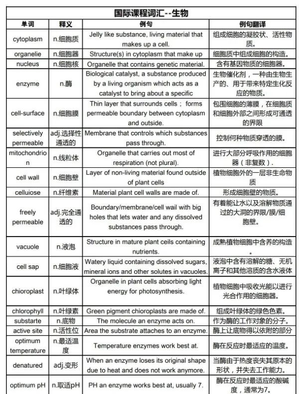 体制内转读IGCSE国际学科后，数理化生无一幸免...