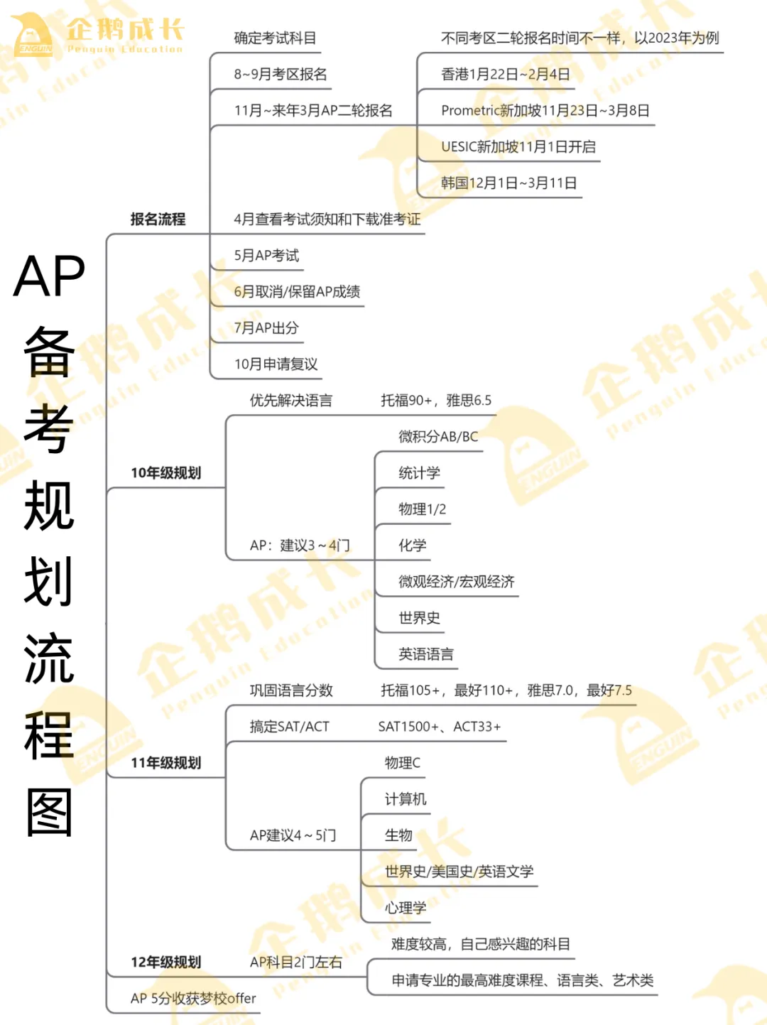 深国交2024年全球申请情况公布！新增多门AP课程！