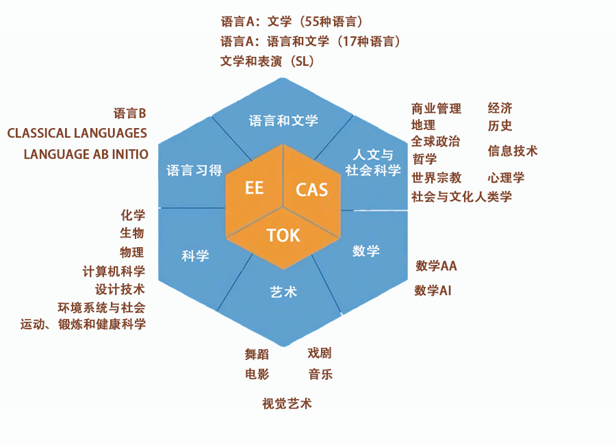 深受世界名校喜爱的IB课程，为什么是最难学的？ | 课程指南