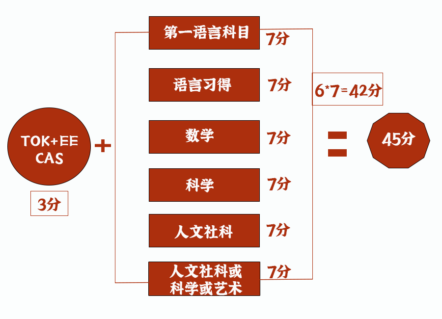 深受世界名校喜爱的IB课程，为什么是最难学的？ | 课程指南