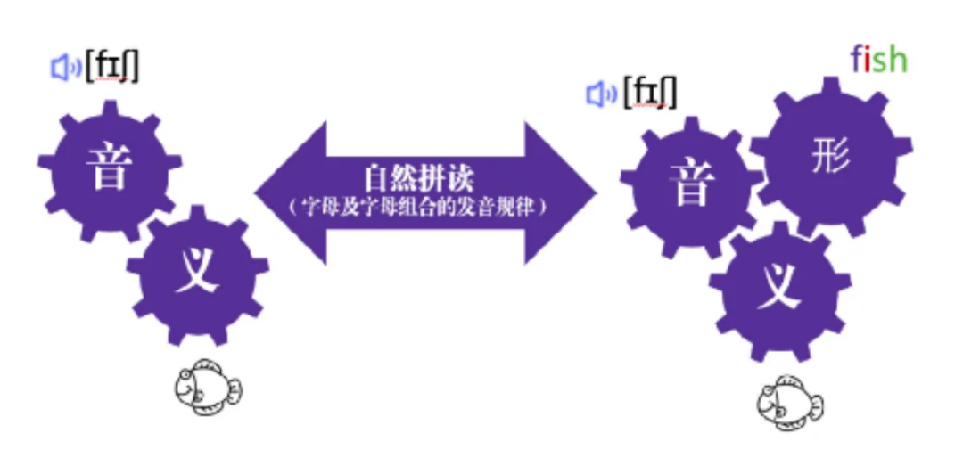 原版娃、一K三P六F到底是啥？一文盘清英语启蒙界黑话