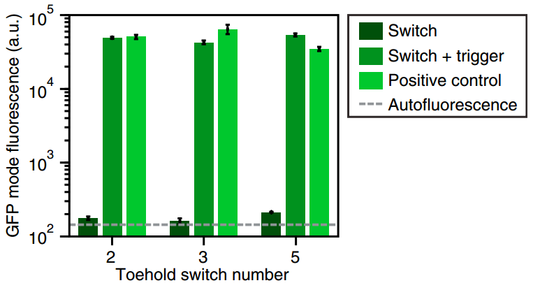 iGEM文献分享——Toehold Switches